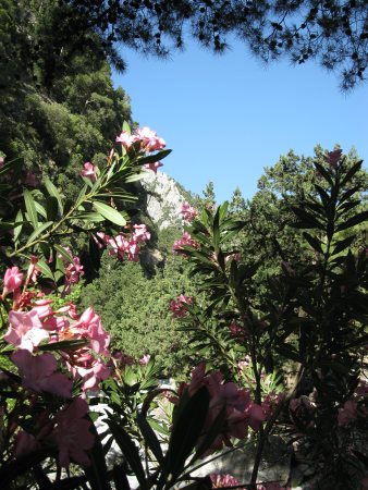 IMG_0517