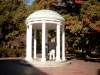 Chapel Hill, November 2005