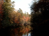 Herbststimmung am Blue Ridge Parkway