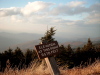 Mt. Mitchell ist der hchste Punkt in North Carolina