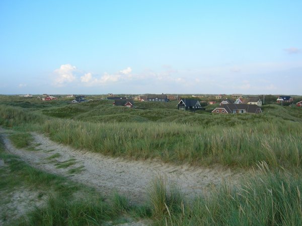 DSCN0753