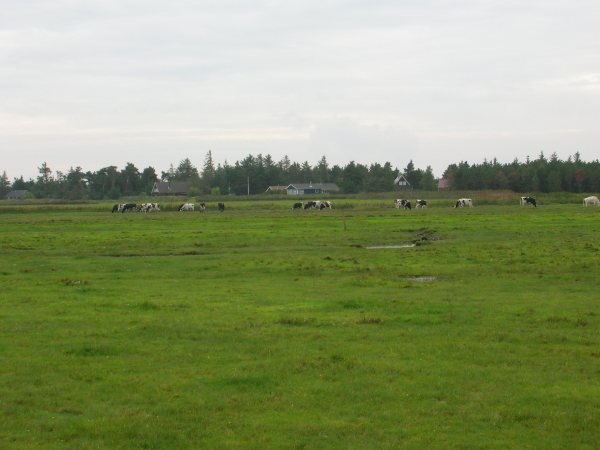 DSCN0778