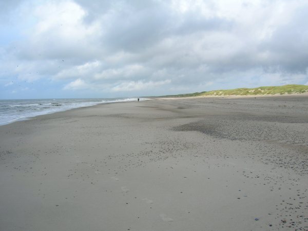 DSCN0795