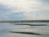 DSCN0932