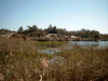 Die Lagune von Maspalomas.