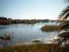 Die Lagune von Maspalomas.