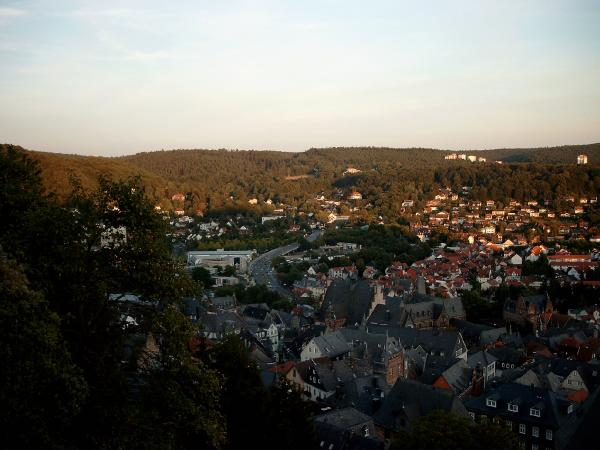 Bild0550