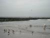 Mwen gibt es wohl an jedem Strand.