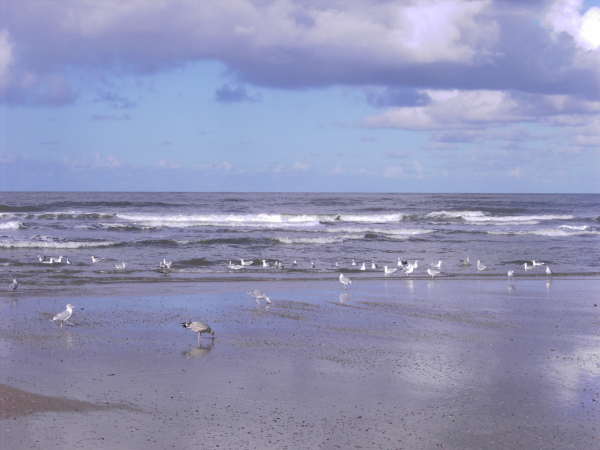 Norderney_2.Oktober_021