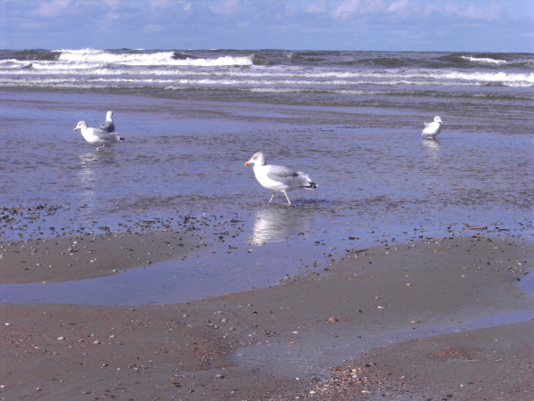 Norderney_2.Oktober_031