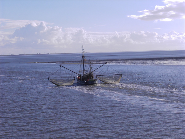 Norderney_2.Oktober_046