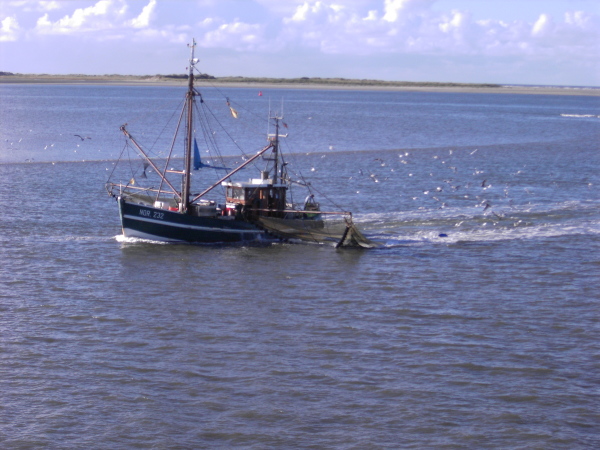 Norderney_2.Oktober_050