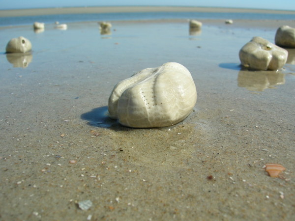 DSCN0579
