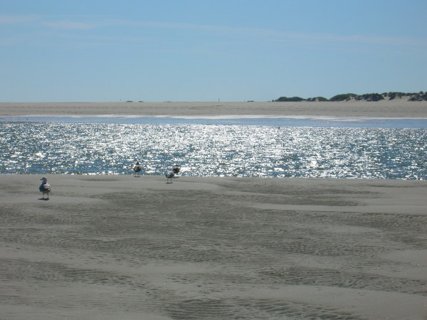 DSCN0582