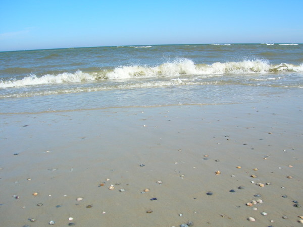 DSCN0611