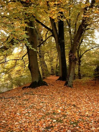 Bild0600