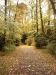 Bild0593