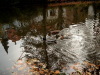 Bild0597