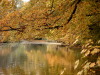 Bild0598