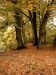 Bild0600