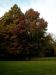 Bild0604