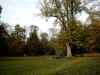 Bild0605