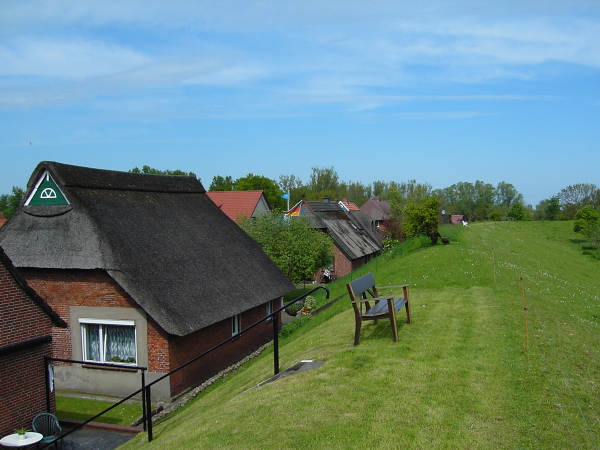 KIF_0024