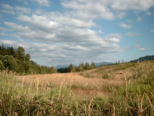 Bild0444