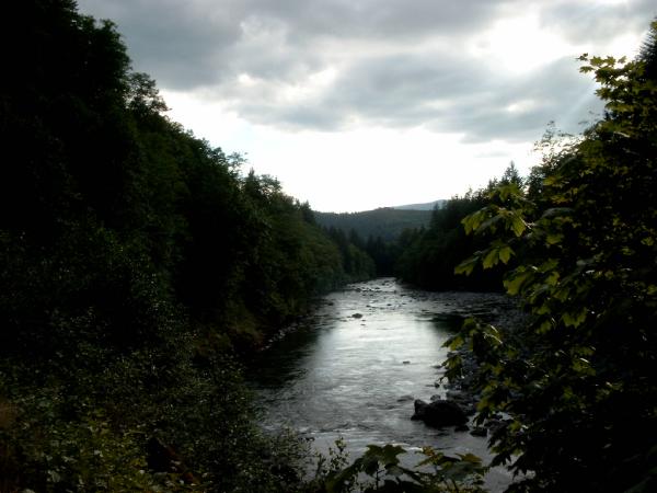 Bild0445