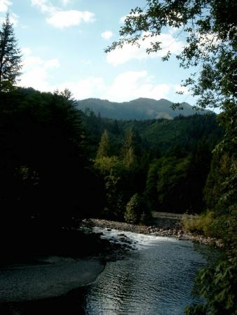 Bild0446