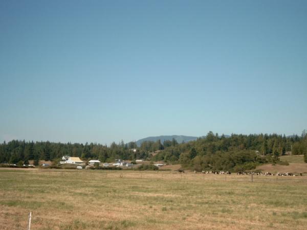 Bild0466