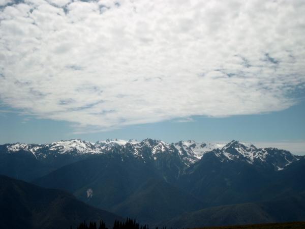 Bild0476