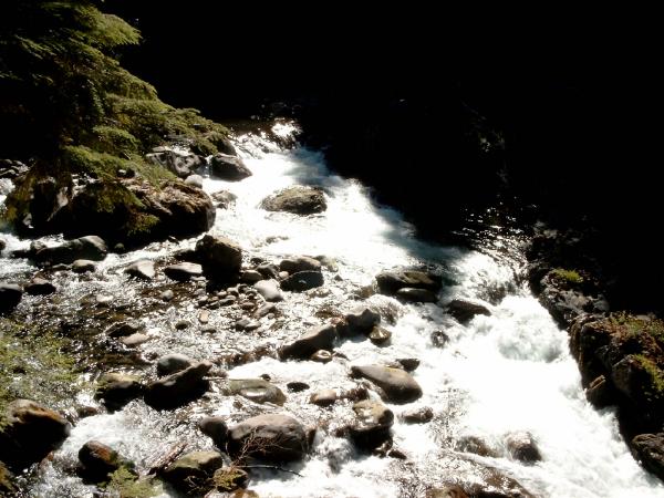 Bild0481