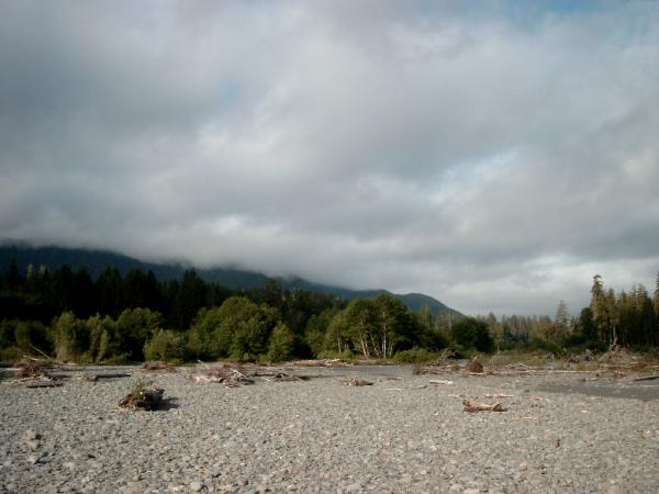 Bild0487