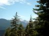 Auf dem Weg zum Hurricane Ridge.
