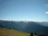 Blick vom Hurricane Ridge nach Sden auf die Berge um Mount Olympia.