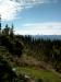 Hurricane Ridge: Wie der Name schon verspricht, gibt es hier sehr heftige Winde. Entsprechend viel Windbruch hat der Wald hier.