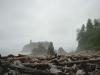 Ruby Beach. Um den Strand zu erreichen, muss man erst ber die Berge von angespltem Holz klettern.