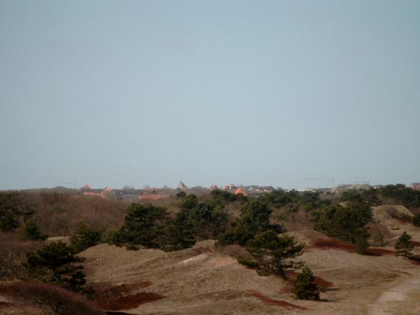 Bild0783