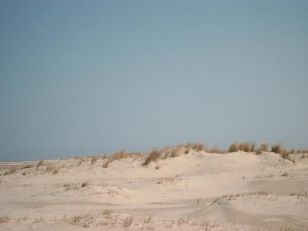 Bild0785