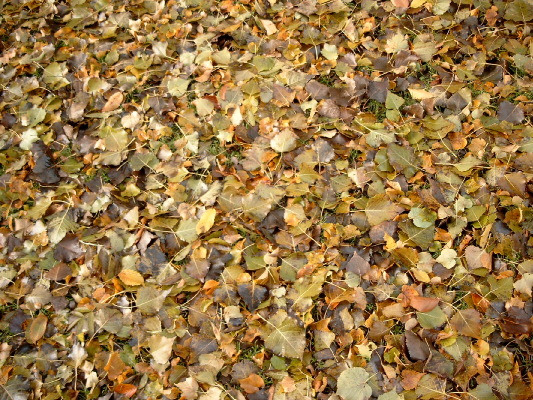Bild0603