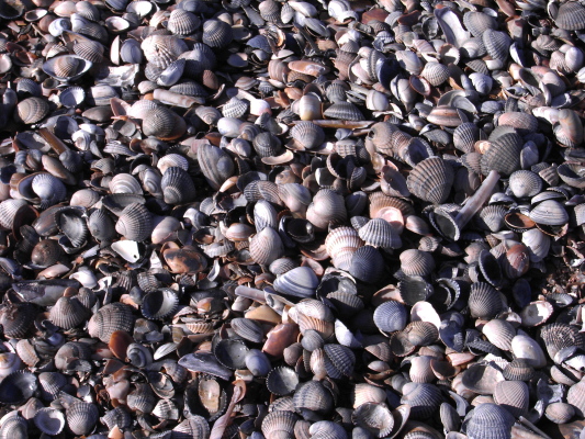 Norderney_2.Oktober_027