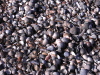 Norderney_2.Oktober_027