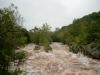 Great Falls of the Potomac, nur 10 Kilometer nrdlich des Zentrums von D.C. und wirklich sehenswert.